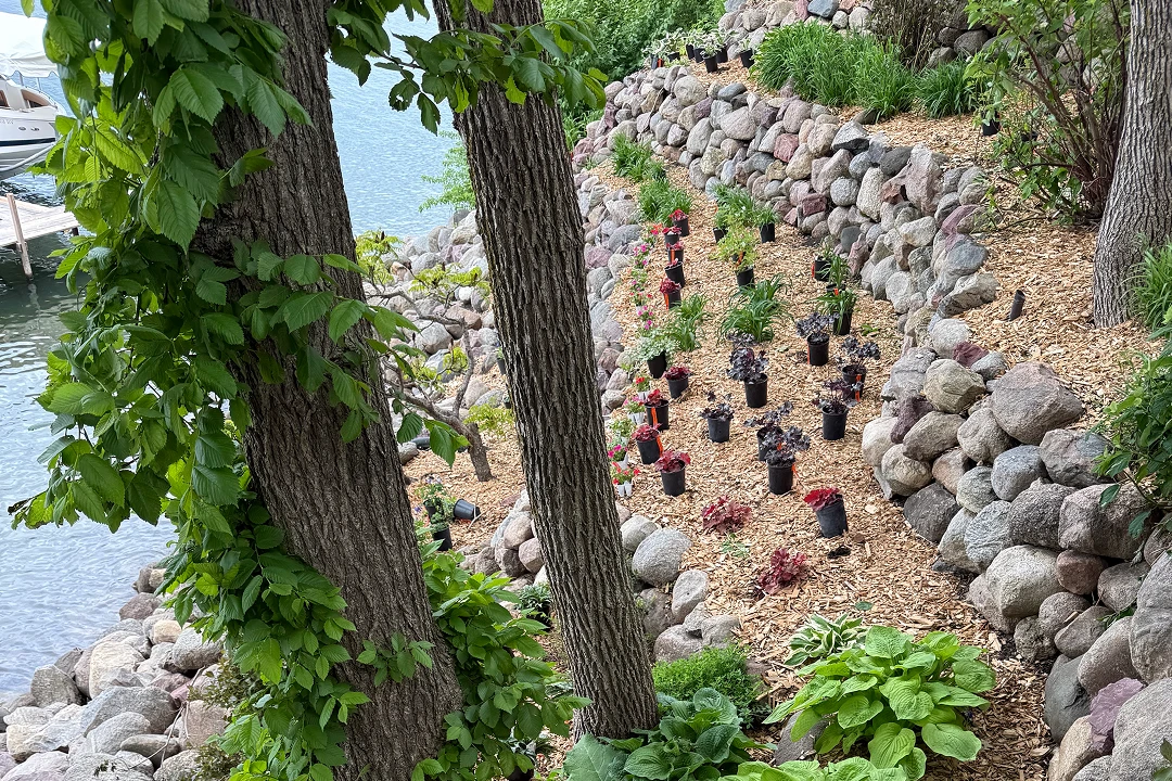 Terraced garden with plants near water.