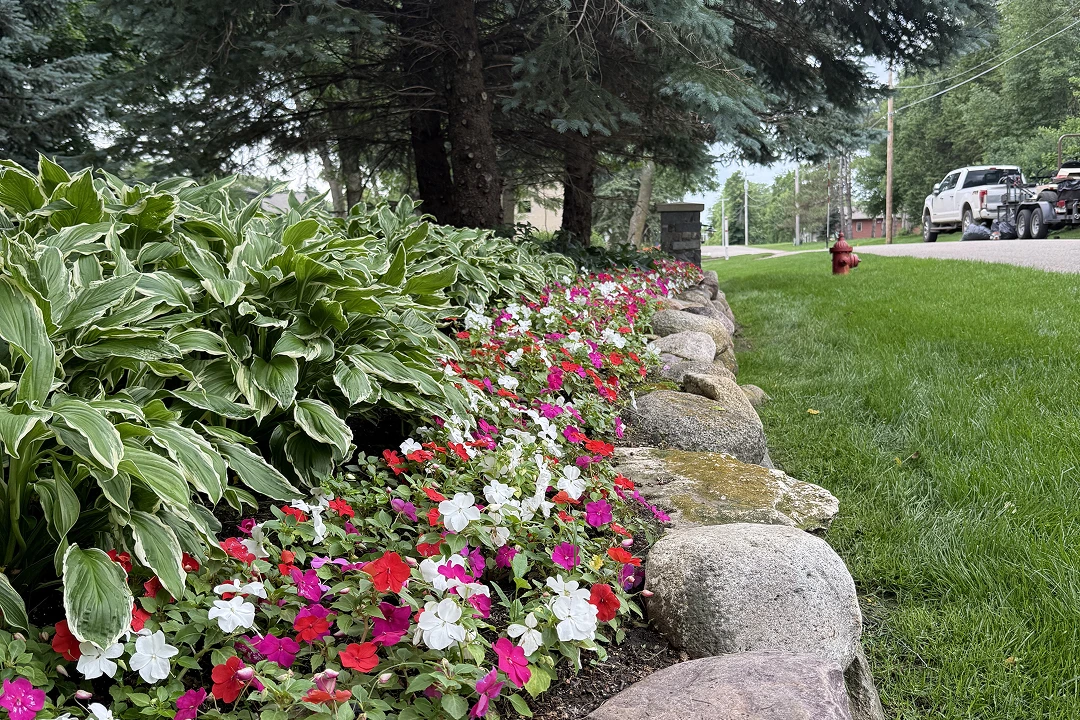 Colorful flowers and stones along the roadside.