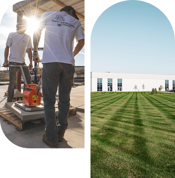 Landscaping work and freshly mowed lawn.